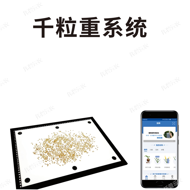 千粒重仪
