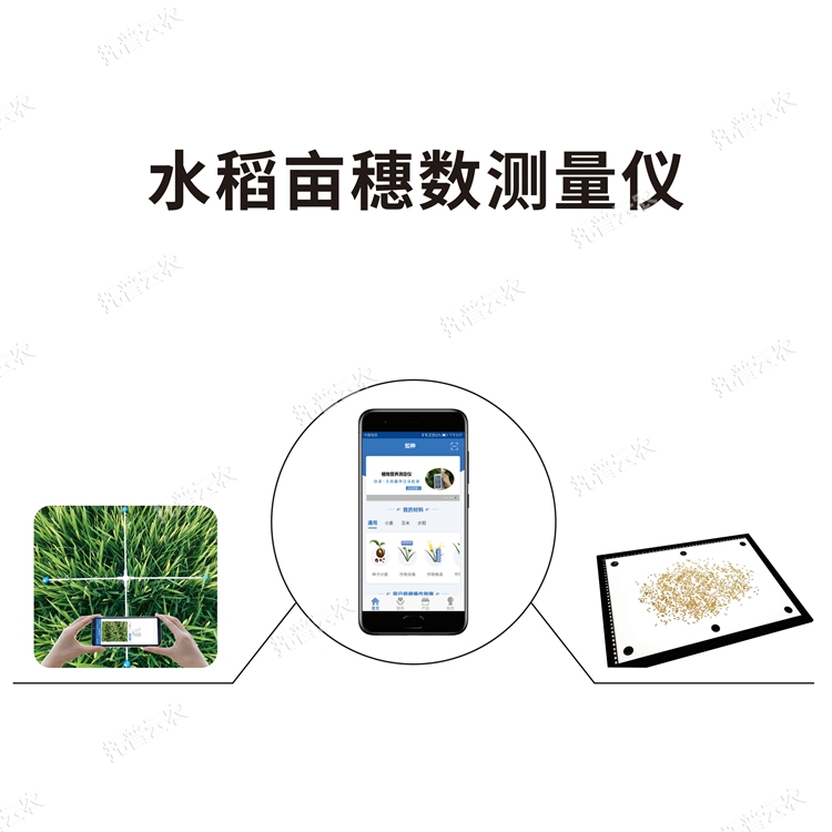 水稻亩穗数测量系统