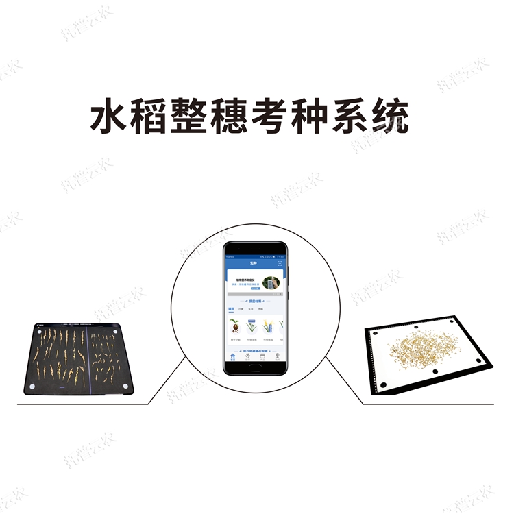 水稻整穗考种测量系统