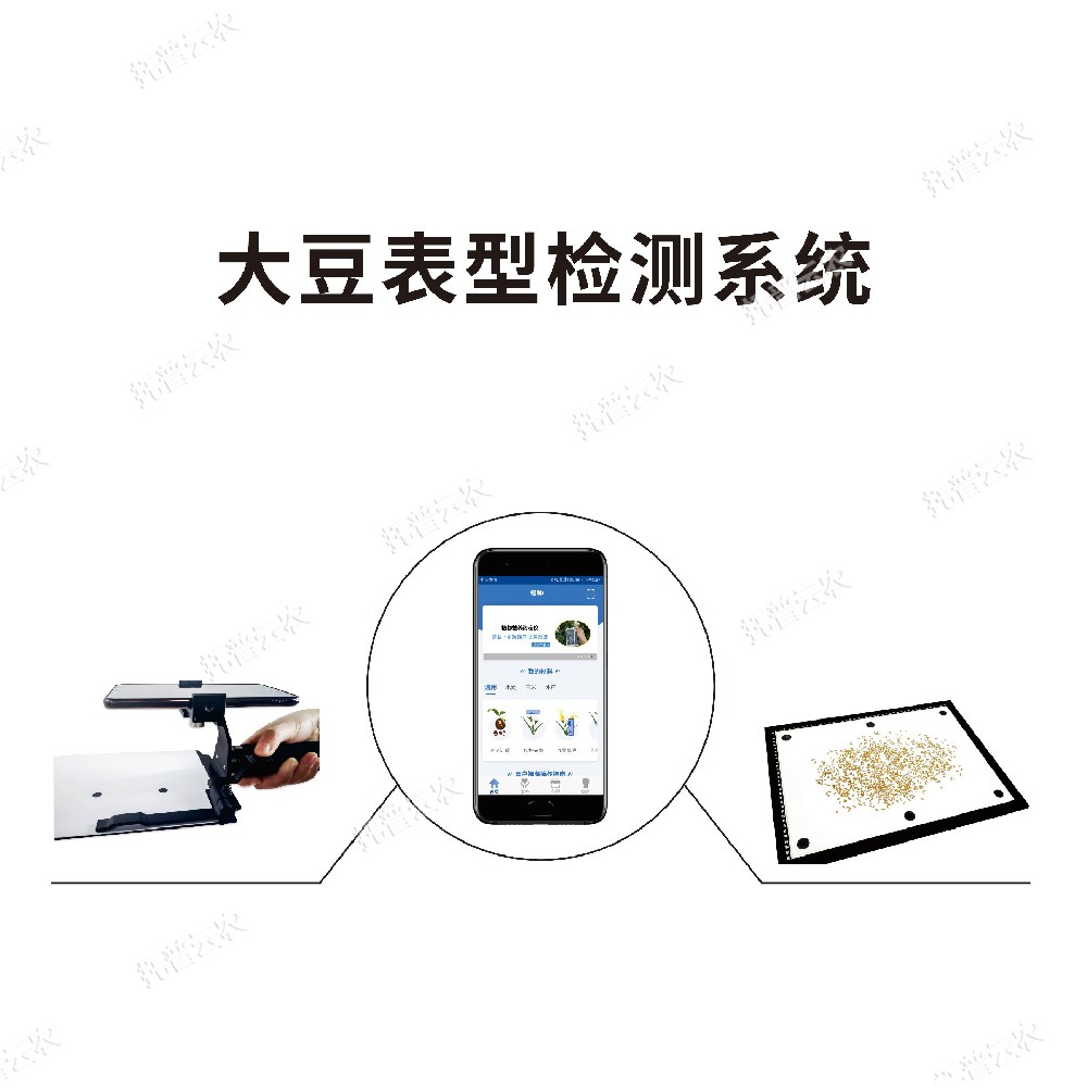 大豆表型检测系统